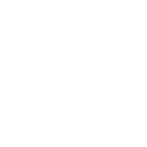 boat_icon